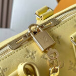 LV Speedy Bandoulière 20(high-end grade) - Image 6
