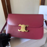 CELINE CLASSIQUE TRIOMPHE BAG in shiny calfskin(HIGH-END GRADE) - Image 6