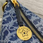 Diorstar Hobo Bag with Chain - Image 6