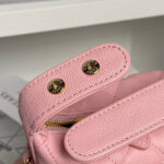 CHANEL Classic Hobo with Chain(High-end Grade) - Image 6