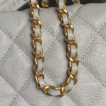 CHANEL Classic Hobo with Chain(High-end Grade) - Image 6