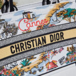 Dior Souvenir Medium Dior Book Tote - Image 6