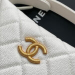 CHANEL Classic Hobo with Chain(High-end Grade) - Image 6