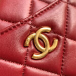 CHANEL Mini Camera Case - Image 6