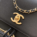Chanel Large Duma Backpack(HIGH-END GRADE) - Image 6