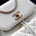 Chanel Large Duma Backpack(HIGH-END GRADE) - Image 6