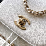 Chanel Large Duma Backpack(HIGH-END GRADE) - Image 6