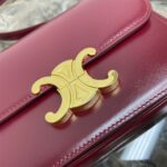 Celine TEEN TRIOMPHE BAG IN shiny calfskin(HIGH-END GRADE) - Image 6
