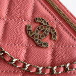 Chanel Long Vanity with chain(HIGH-END GRADE) - Image 6