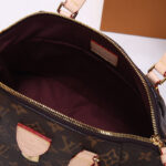 LV Rivoli PM Handbag - Image 6