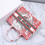 SMALL DIOR BOOK TOTE - Image 6