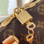 LV Speedy Bandoulière 20 - Image 6
