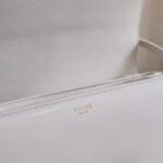 Celine TEEN TRIOMPHE BAG IN shiny calfskin(HIGH-END GRADE) - Image 7