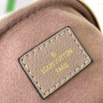 LV Mini Bumbag - Image 7