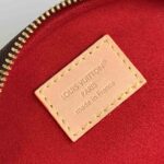 LV x TM Mini Bumbag - Image 7