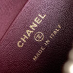 CHANEL Classic Chain Hobo(High-end Grade) - Image 7