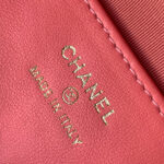 CHANEL Classic Chain Hobo(High-end Grade) - Image 7