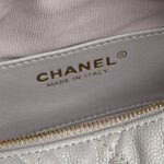 CHANEL Classic Hobo with Chain(High-end Grade) - Image 7
