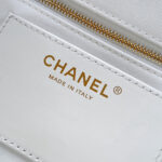 Chanel Large Duma Backpack(HIGH-END GRADE) - Image 7