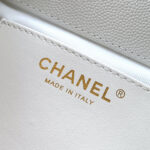 Chanel Large Duma Backpack(HIGH-END GRADE) - Image 7