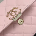 Chanel Clutch With Chain(HIGH-END GRADE) - Image 7