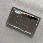 LV Vanity Chain Pouch - Image 7