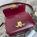 Celine TEEN TRIOMPHE BAG IN shiny calfskin(HIGH-END GRADE) - Image 7