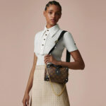 LV Petite Malle Souple Handbag - Image 7