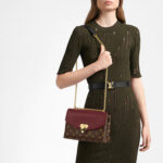 LV Saint Placide Handbag - Image 7