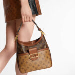 LV Hobo Dauphine PM Handbag - Image 7