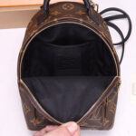 LV Palm Springs Mini Backpack - Image 7