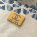 Chanel Coco Beach Large Hobo Bag(high-end grade) - Image 7