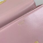 Celine TEEN TRIOMPHE BAG IN shiny calfskin(HIGH-END GRADE) - Image 7