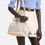 LV Noe Bucket Bag - Image 7