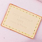 LV Mini Bumbag - Image 7