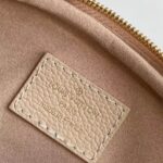 LV Mini Bumbag - Image 7