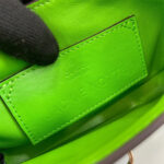 Gucci Jackie Notte python mini bag(HIGH-END GRADE) - Image 7