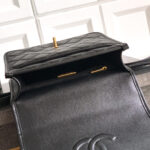 Chanel Backpack(HIGH-END GRADE) - Image 8