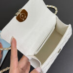 Chanel Clutch With Chain(HIGH-END GRADE) - Image 8