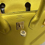 Hermes Birkin 25 Bag(Tax-Free GRADE) - Image 8