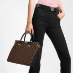 Louis Vuitton PALLAS MM - Image 8
