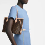 Louis Vuitton NEVERFULL PM - Image 9