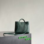 Bottega Veneta Small Andiamo 805231 Jungle - Image 2