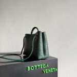 Bottega Veneta Small Andiamo 805231 Jungle - Image 5