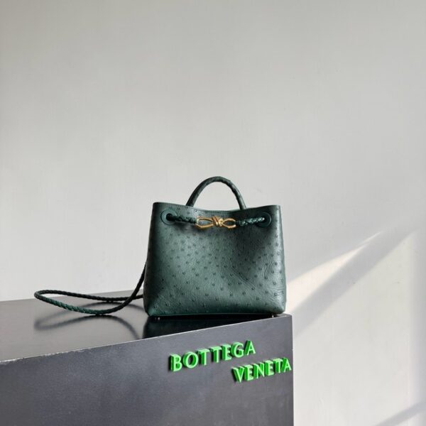 Bottega Veneta Small Andiamo 805231 Jungle