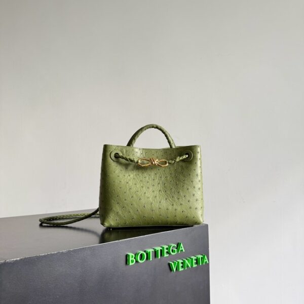 Bottega Veneta Small Andiamo 805231 Mud