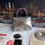 Dolce & Gabbana Patent leather G6002A silver - Image 3