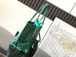 Goyard ANJOU mini bag TY50P green - Image 2