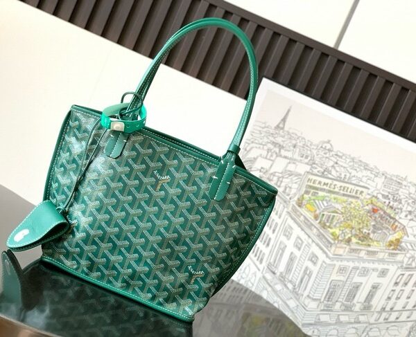 Goyard ANJOU mini bag TY50P green