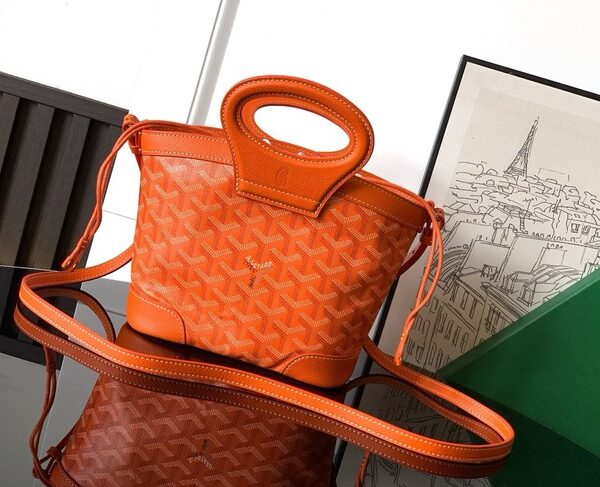 Goyard Calfskin Leather Tote Bag PM 00249 orange